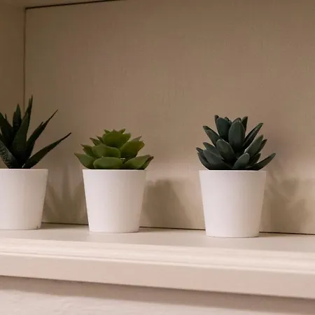 Castiglione 49 博洛尼亚