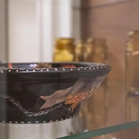 Castiglione 49 アパート ボローニャ