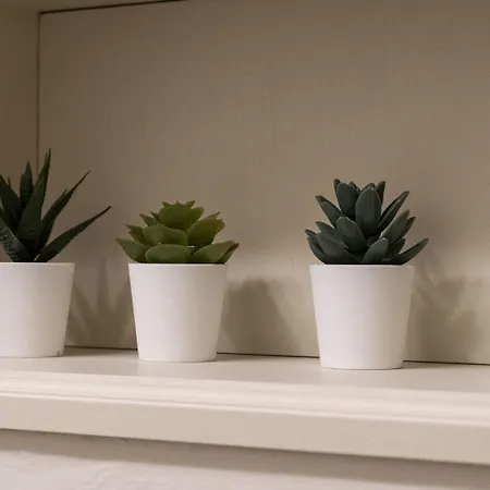 公寓 Castiglione 49