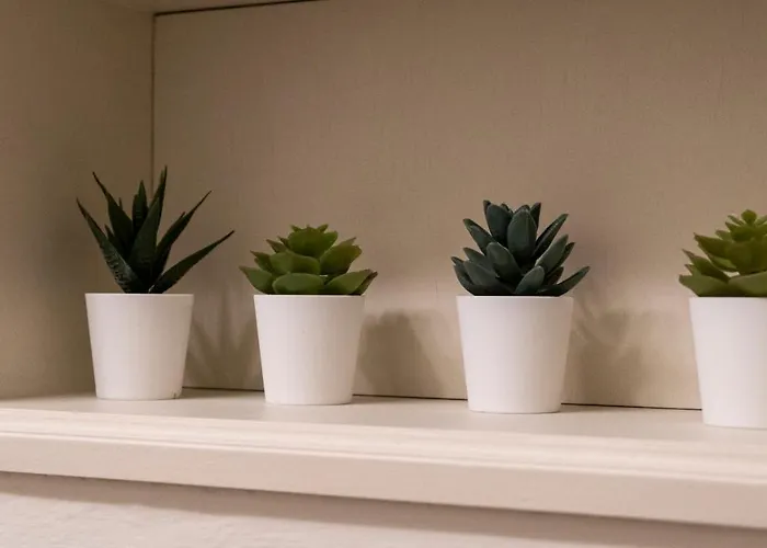 Castiglione 49 Bologna